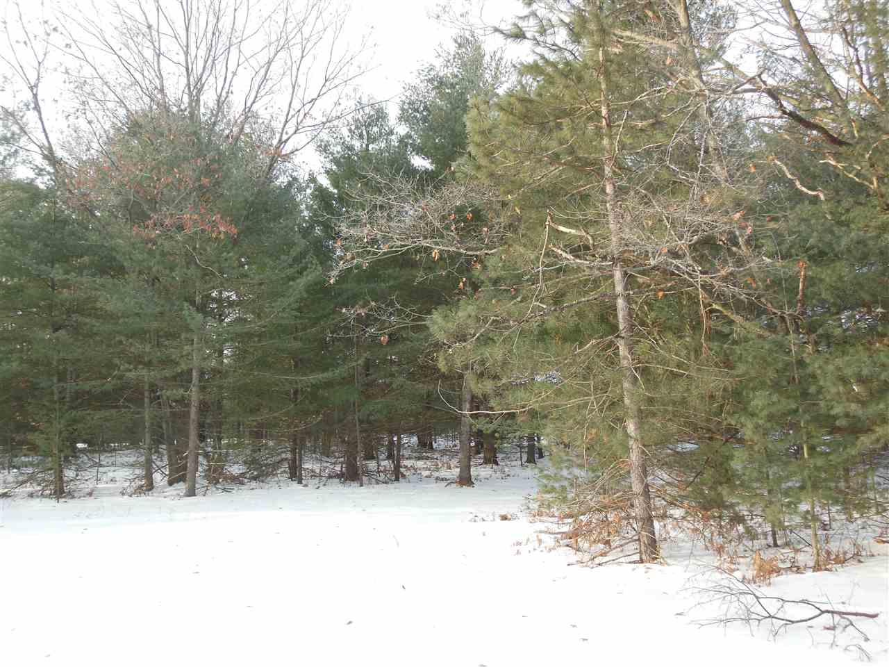 1547 Round Lake Road Interlochen, MI 49643 - Photo 6 of 42 1864826-7.JPG