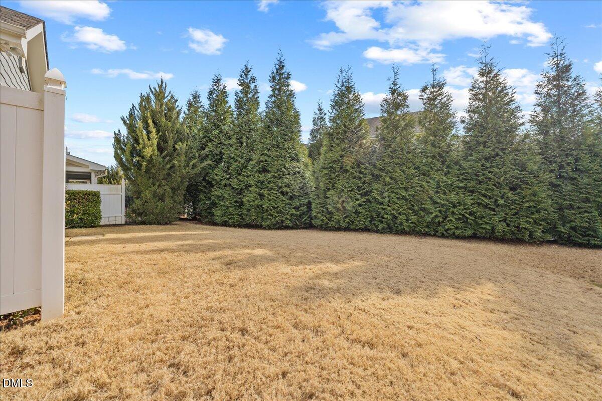 216 Mayfield Drive Apex, NC 27539 - Photo 42 of 66 51-2A1A8889