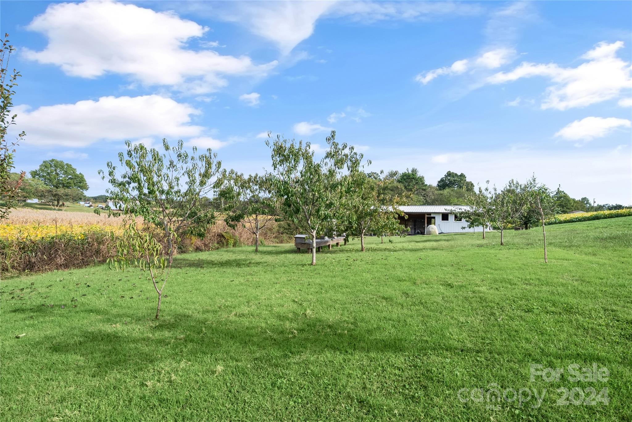 7400 Carl Polk Road Monroe, NC 28110 - Photo 44 of 48 a house view with swimming pool and green space