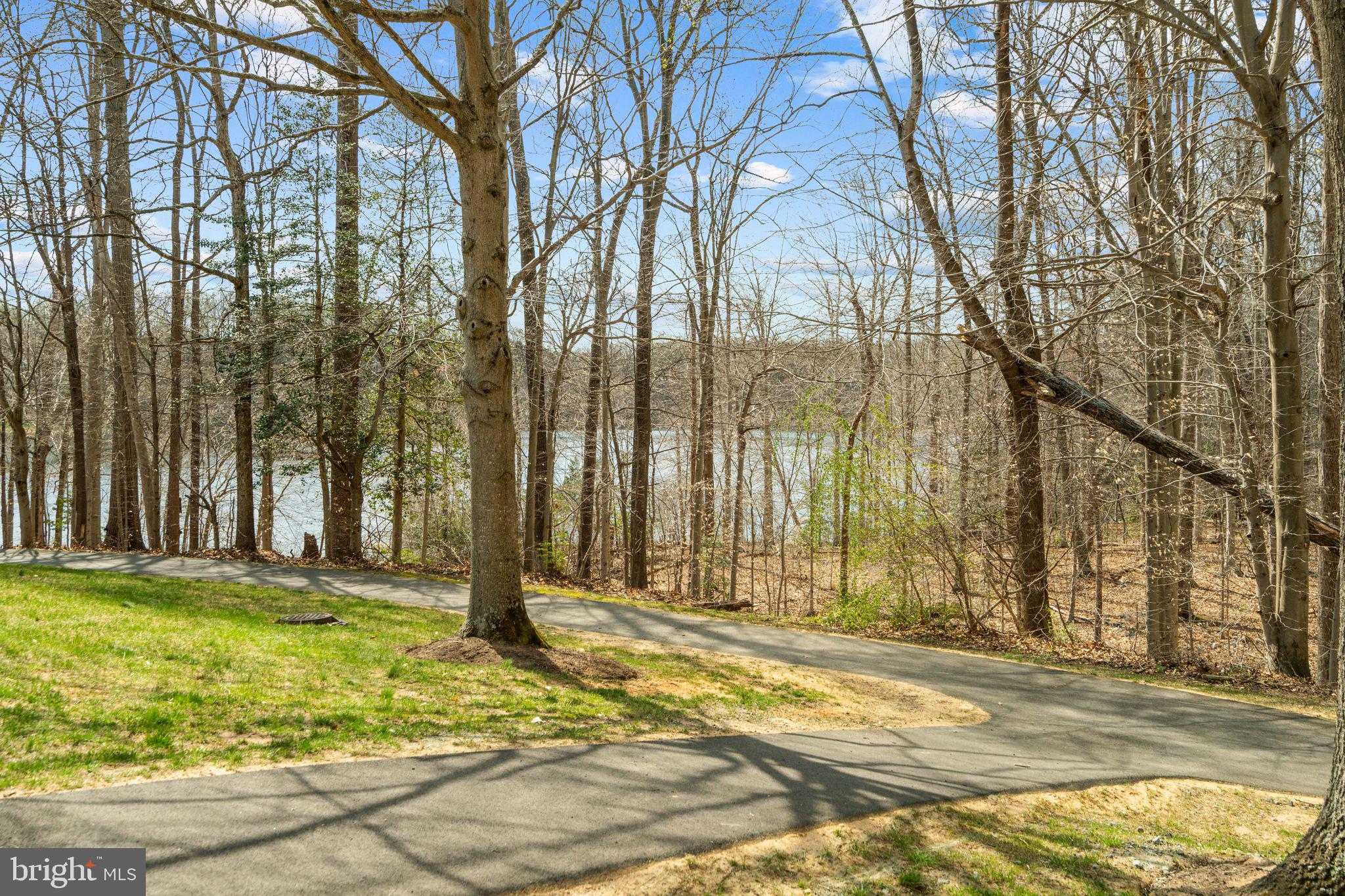 9012 Daum Court Springfield, VA 22153 - Photo 44 of 46 Serene lakeside path through trees.