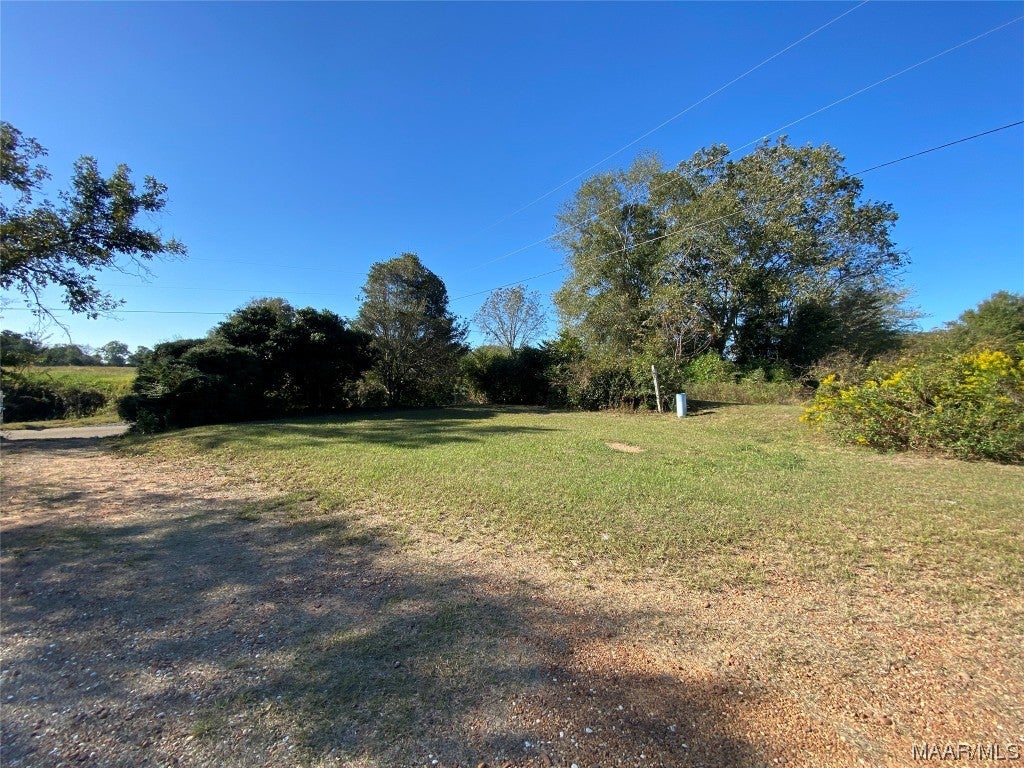 274 Thomley Road Newton, AL 36352 - Photo 29 of 34 Gallery Image 29