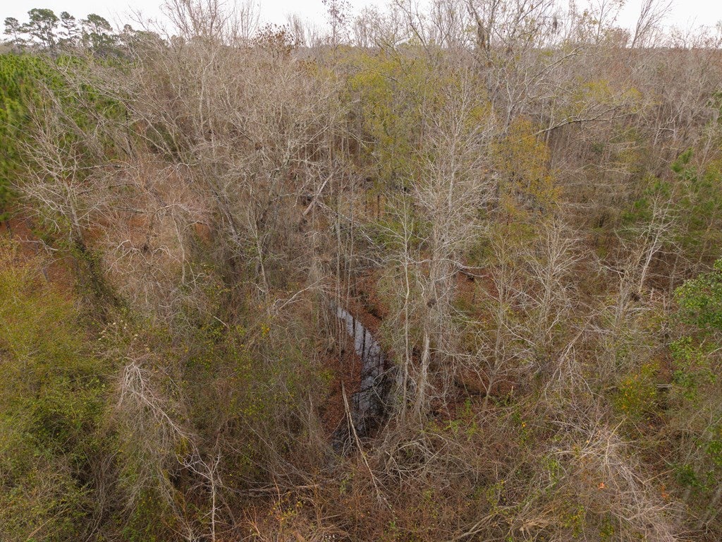 998 Fellowship Road Hahira, GA 31632 - Photo 75 of 79 Gallery Image 75