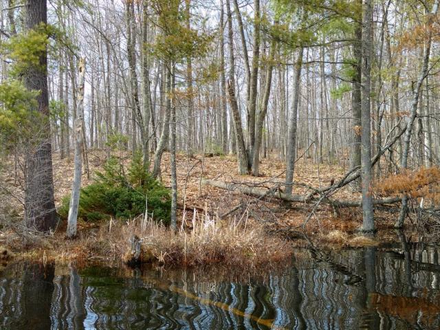 On Green Bass Road Eagle River, WI 54521 - Photo 2 of 9 Gallery Image 2