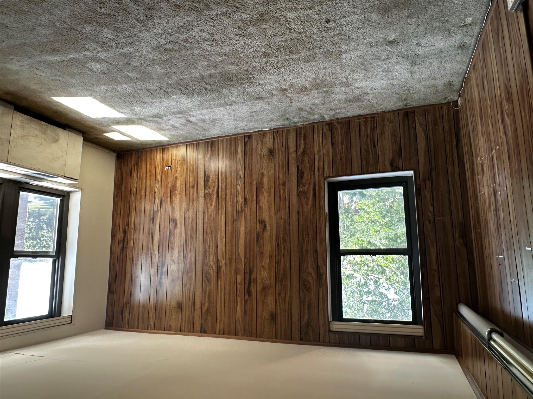 18-75 Corporal Kennedy Street, Unit 4A Queens, NY 11360 - Photo 21 of 25 Spare room featuring healthy amount of natural light, wooden walls, and carpet