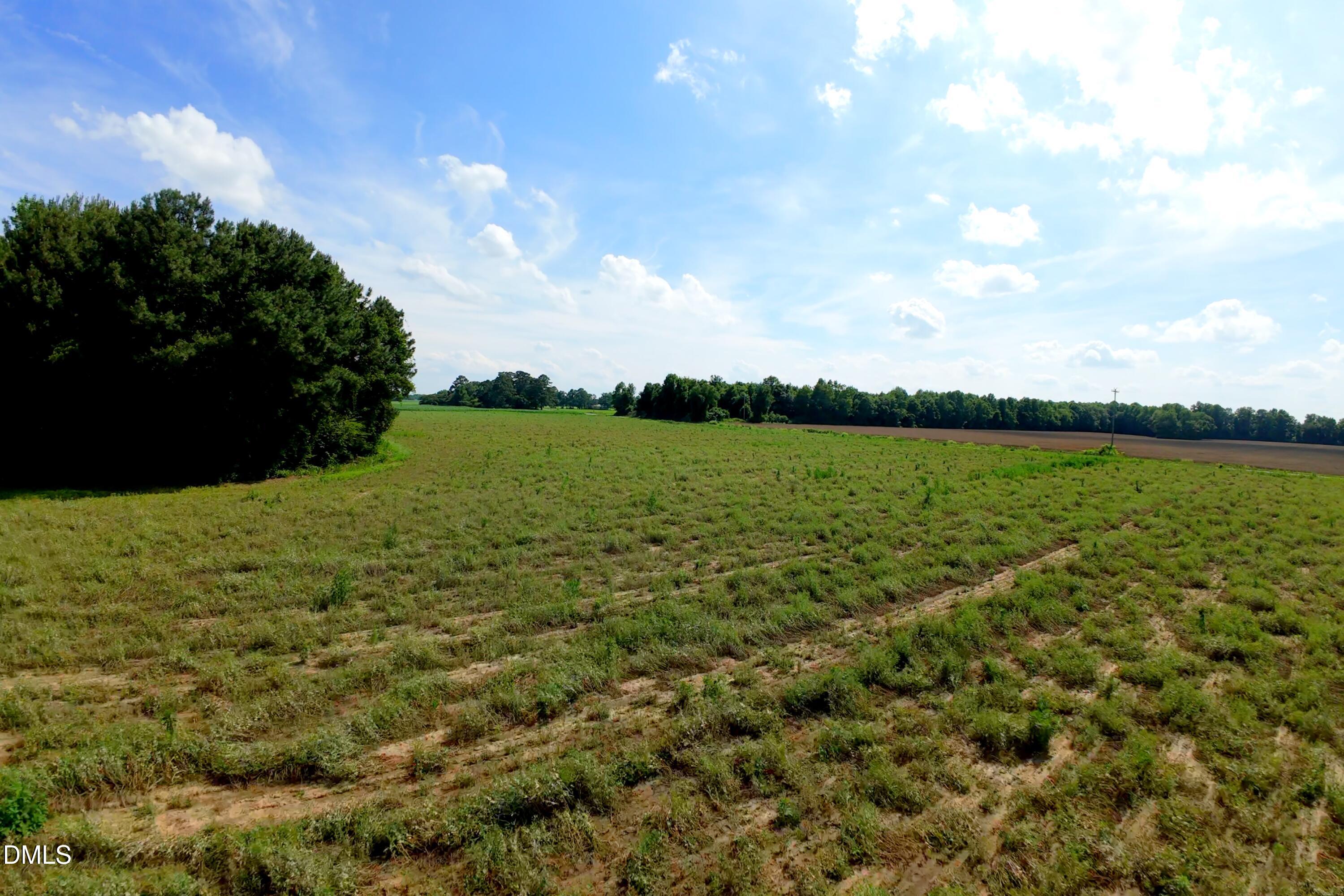 0 Bowden Road Turkey, NC 28393 - Photo 29 of 31