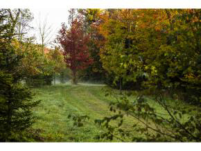 1040 Square Road Eden, VT 05653 - Photo 13 of 21 Gallery Image 13