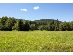 1040 Square Road Eden, VT 05653 - Photo 14 of 21 Gallery Image 14