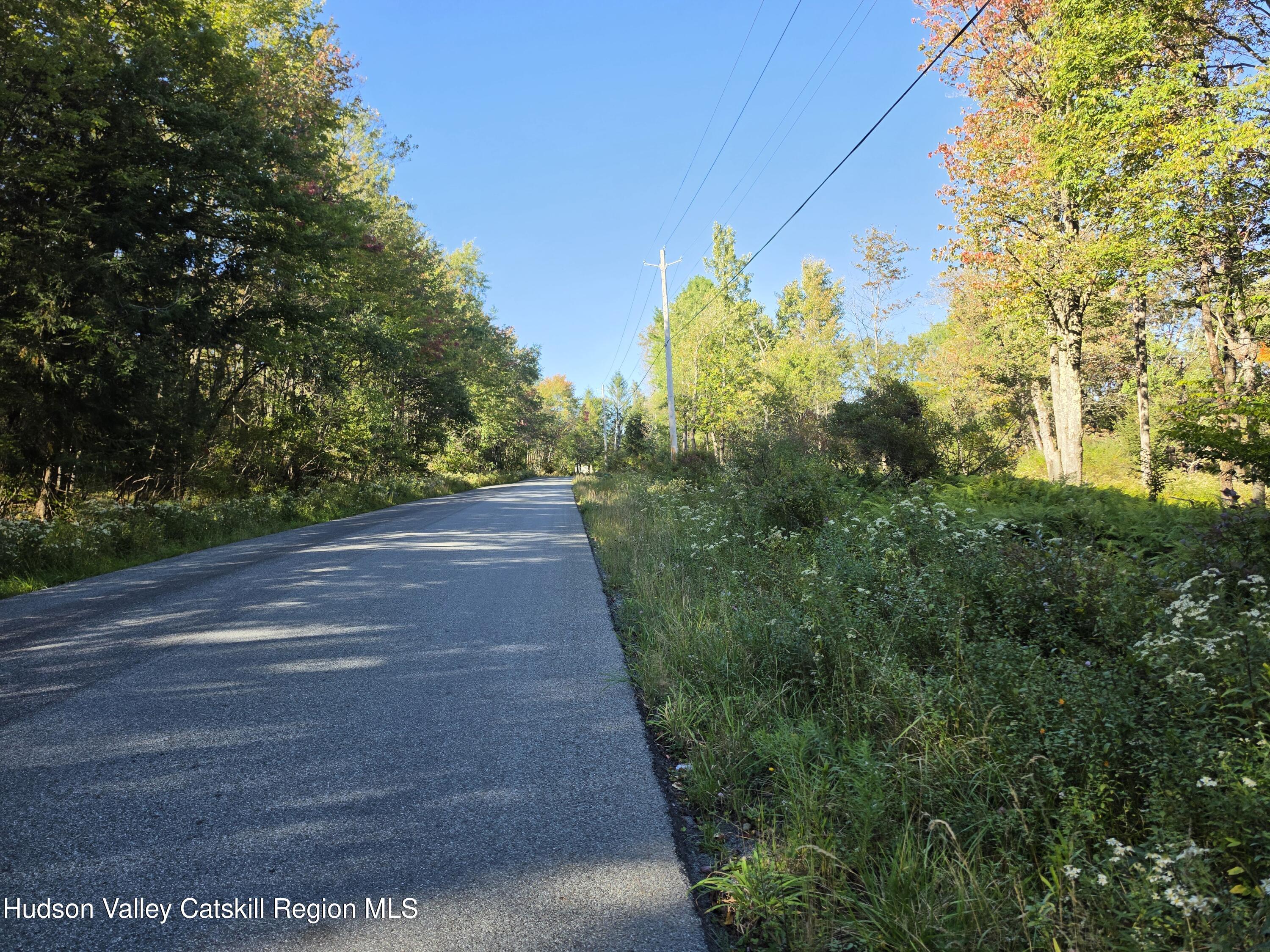 Tbd Anderson Road 1 Road Parksville, NY 12768 - Photo 20 of 27 20260914_164304