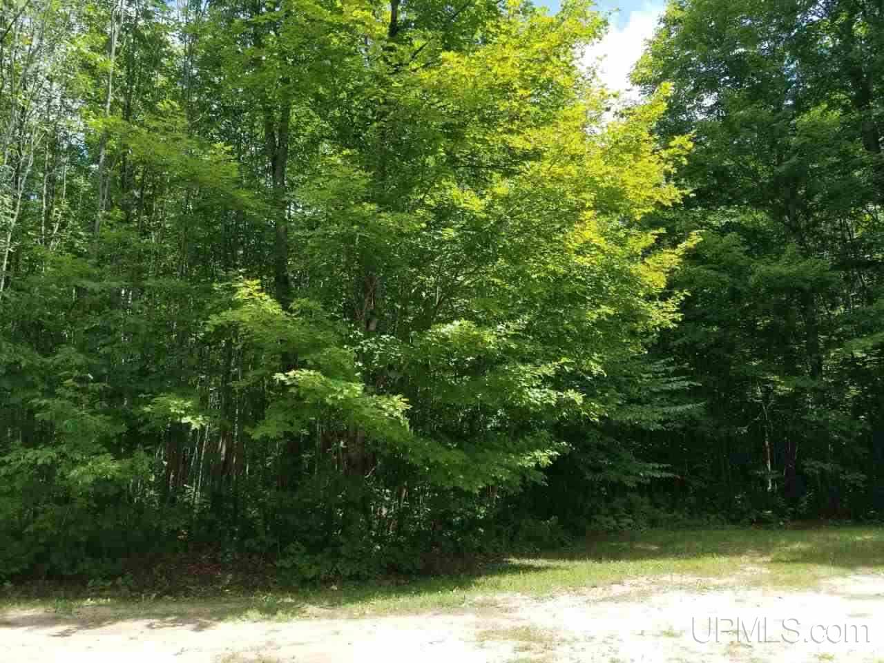 7749 Whitman Road Manistique, MI 49854 - Photo 46 of 46
