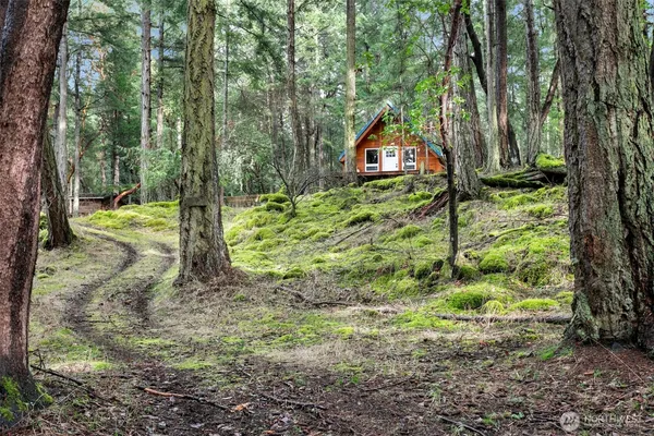 a view of an outdoor space and a yard