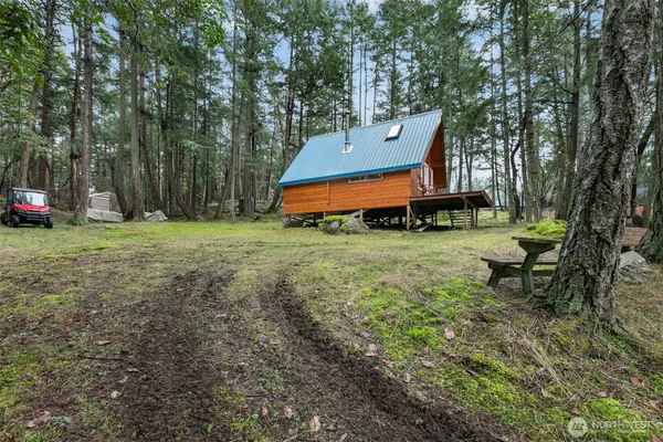a view of a park with large trees
