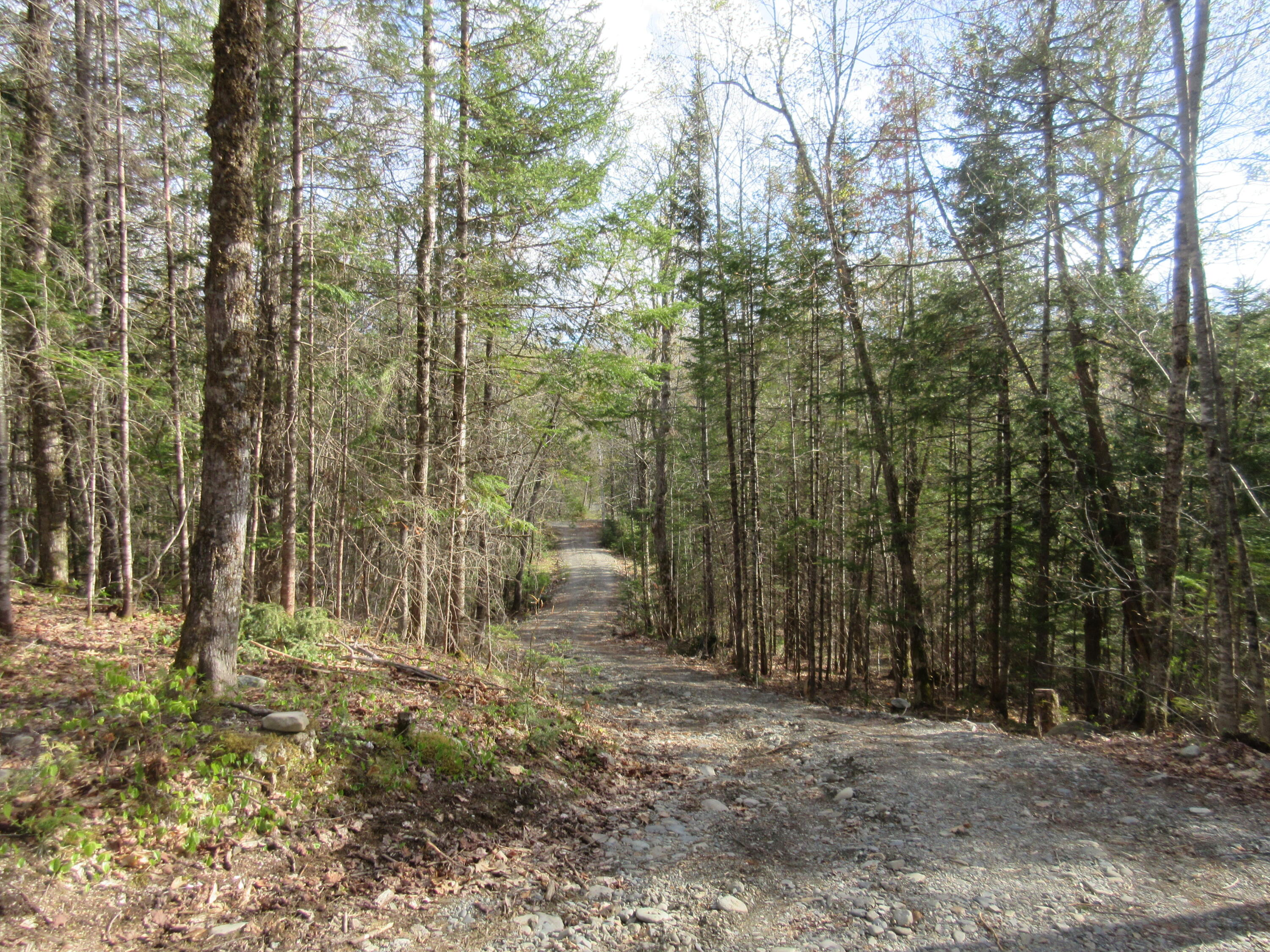 31.31 North Blanchard Shirley Road Abbot, ME 04406 - Photo 10 of 15 IMG_2165