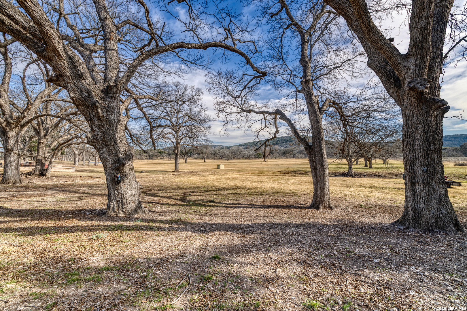 498 Camino Del Rancho Concan, TX 78838 - Photo 46 of 49 a view of yard with trees