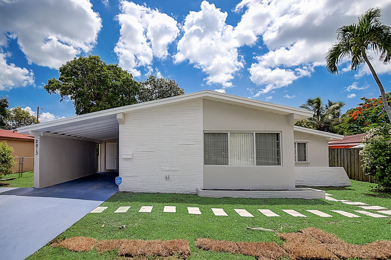 a backyard of a house with plants and palm tree