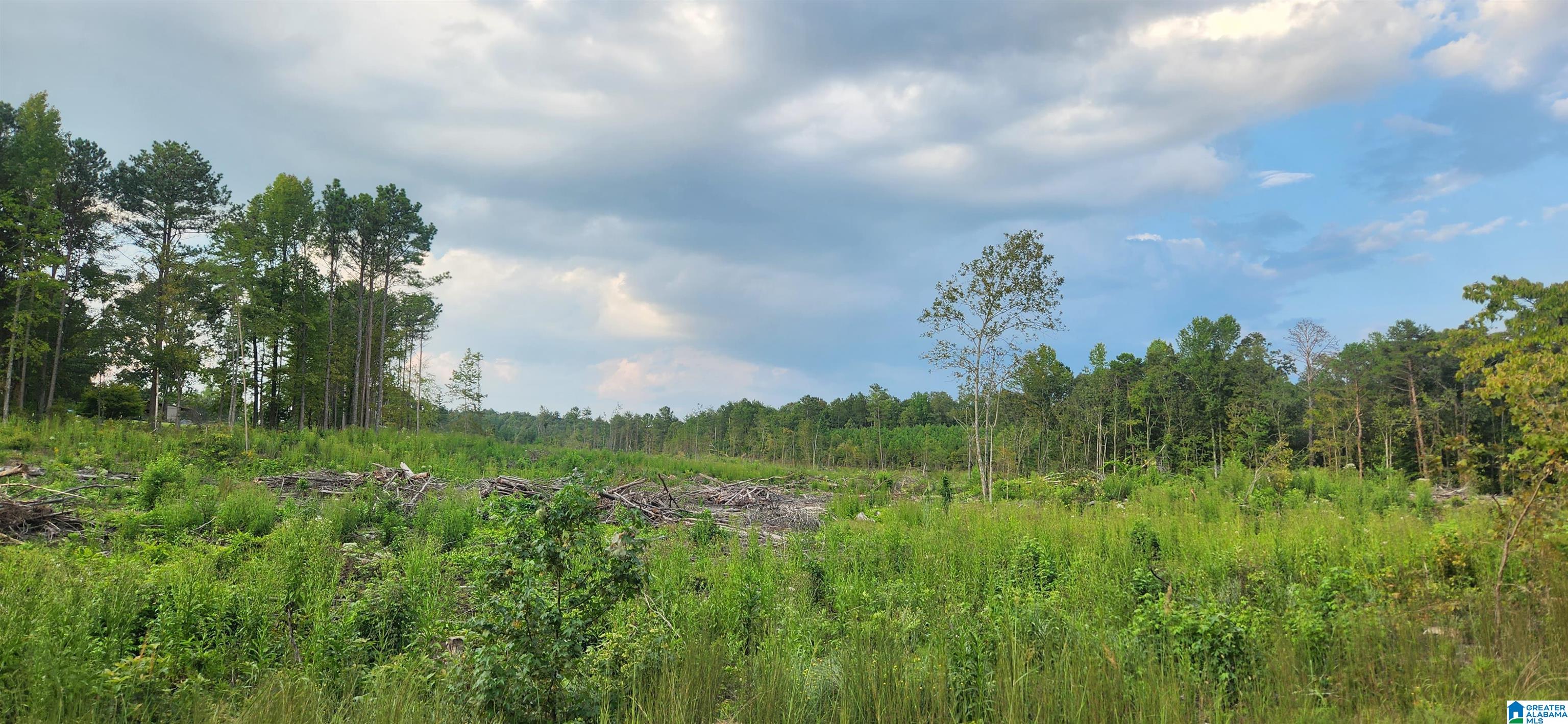 0 Roy Webb Cutoff Road Piedmont, AL 36272 - Photo 1 of 7 Gallery Image 1