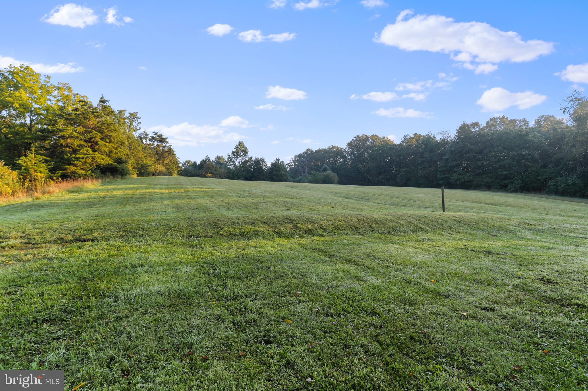 2548 Dellinger Acres Road, Unit ACRES Edinburg, VA 22824 - Photo 9 of 58