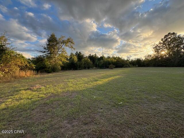 14927 Northwest Red Oak Altha, FL 32421 - Photo 26 of 28