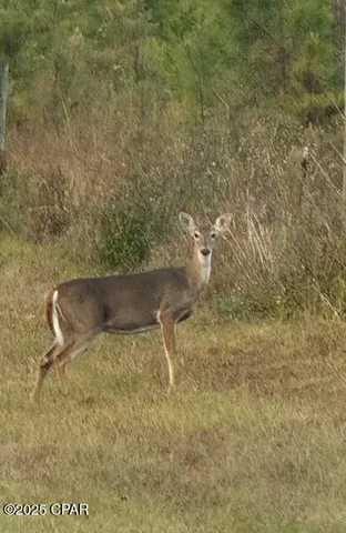 $199,000 | 14927 Northwest Red Oak, Altha, FL 32421
