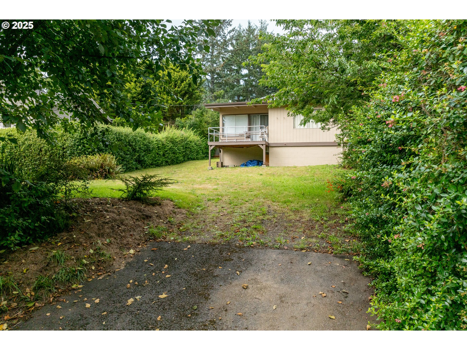 37365 4th Street Nehalem, OR 97131 - Photo 3 of 27 a view of a backyard with large trees
