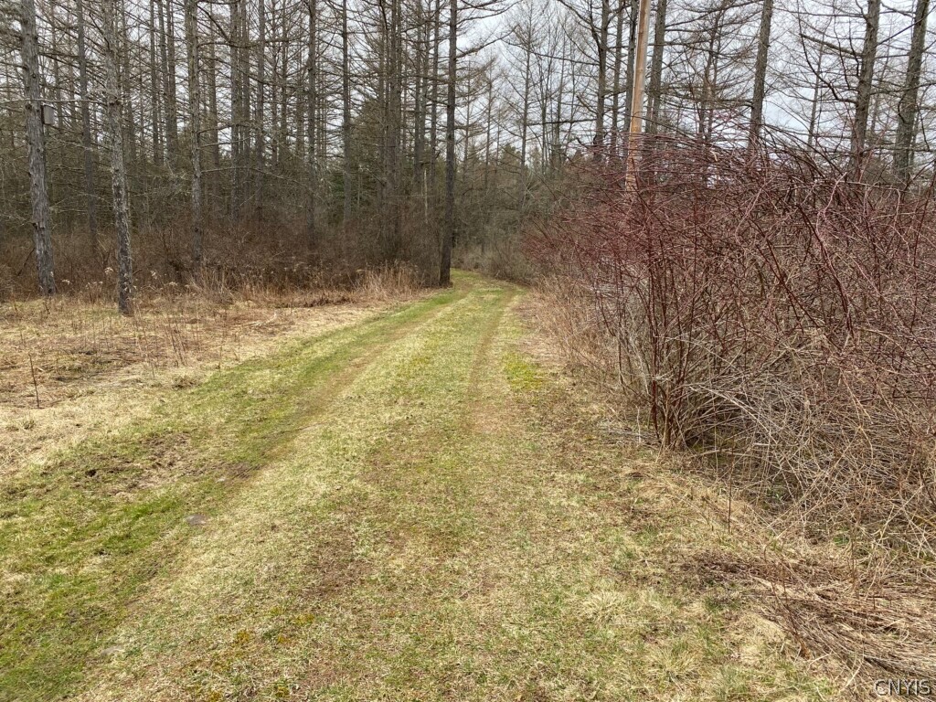 0 Town Line Road Canaseraga, NY 14822 - Photo 11 of 22 Gallery Image 11