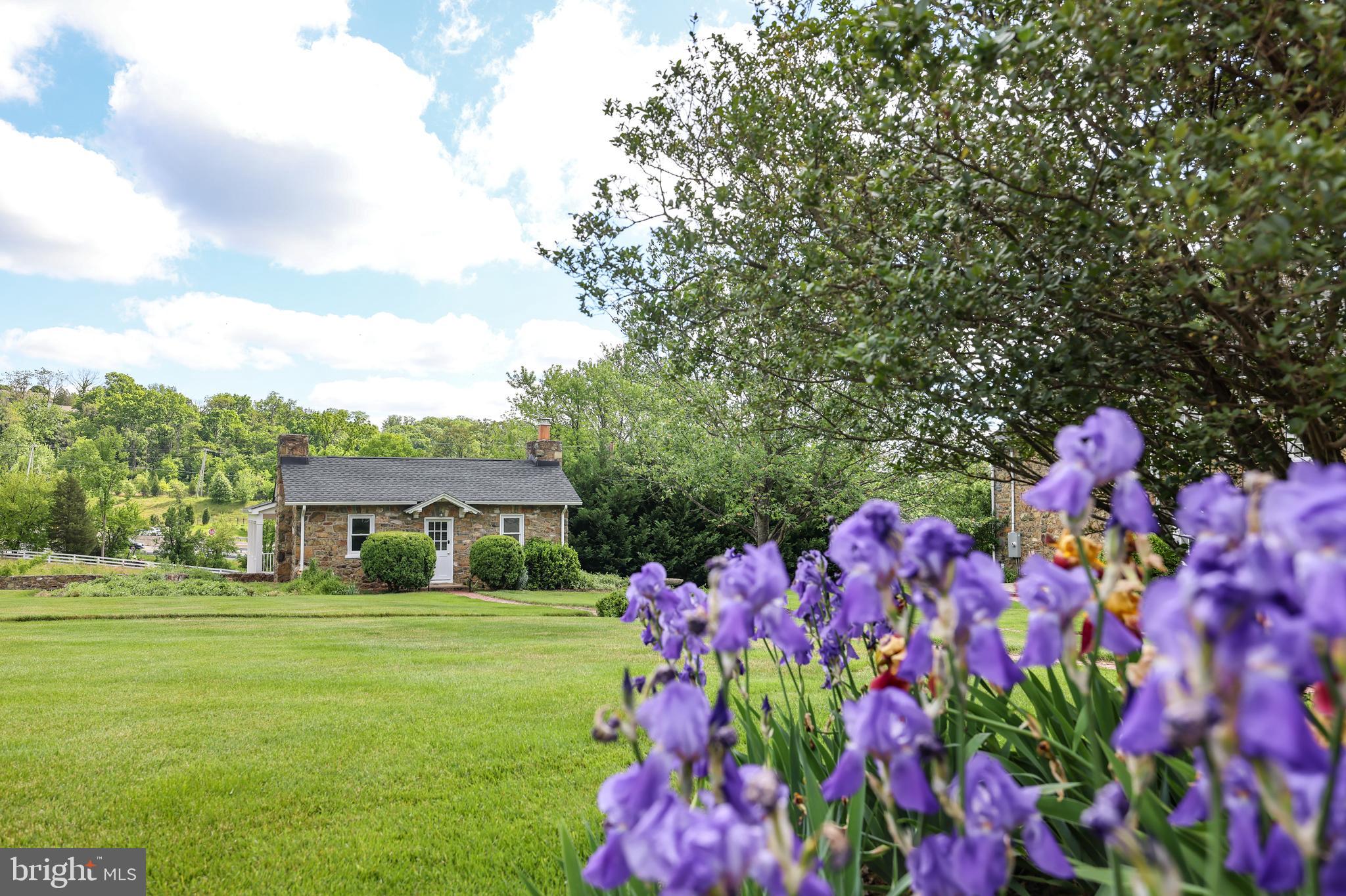 17781 Roxbury Hall Road Leesburg, VA 20175 - Photo 96 of 107 Gorgeous landscaping and spring flowers