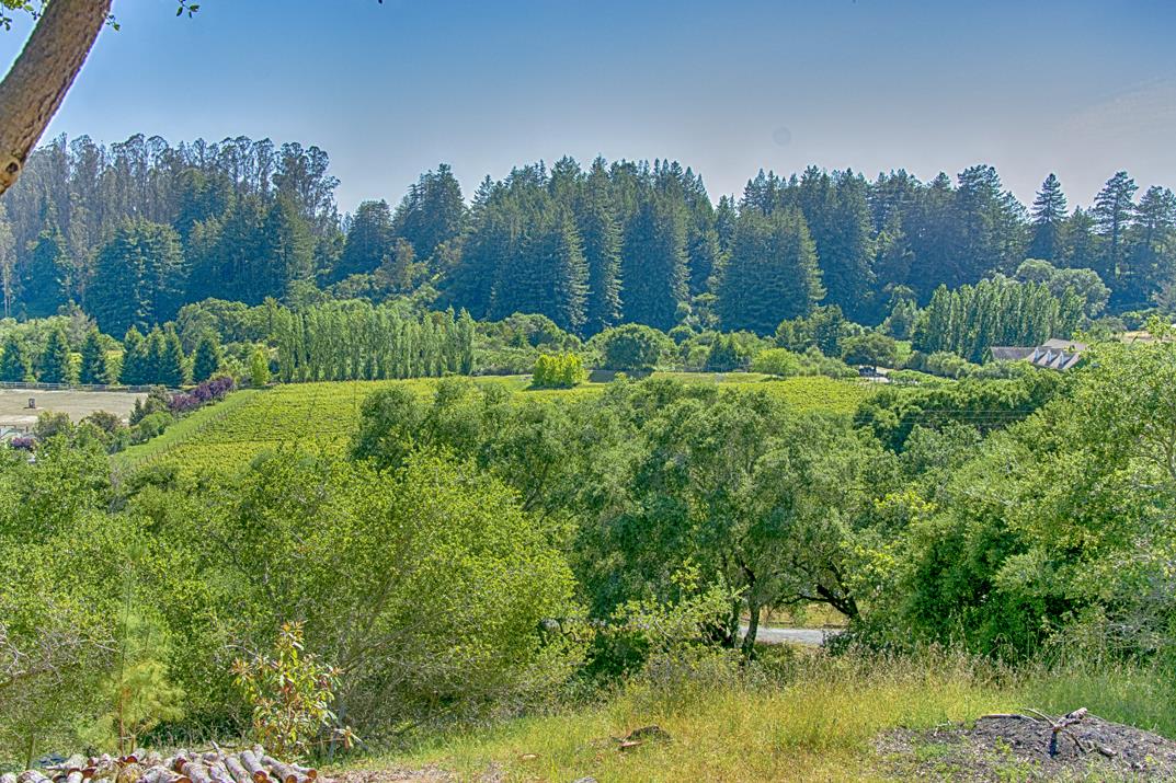 2220 Pleasant Valley Road Aptos, CA 95003 - Photo 23 of 46 Gallery Image 23