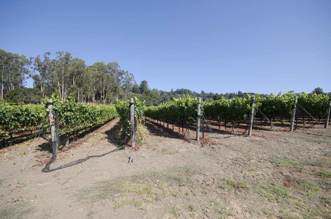 2220 Pleasant Valley Road Aptos, CA 95003 - Photo 40 of 46 Gallery Image 40