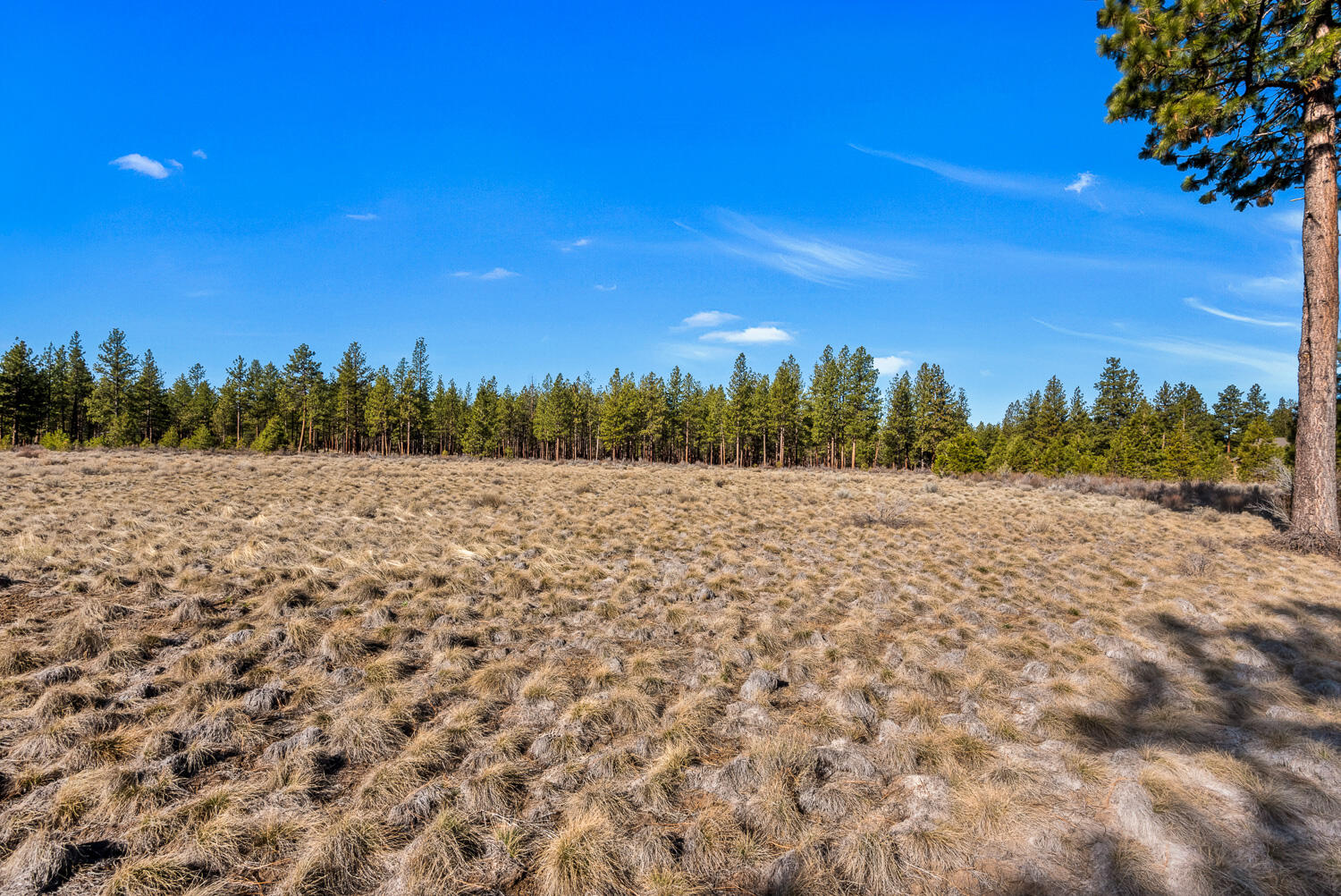 18862 Sutherland Court Bend, OR 97702 - Photo 4 of 8 -