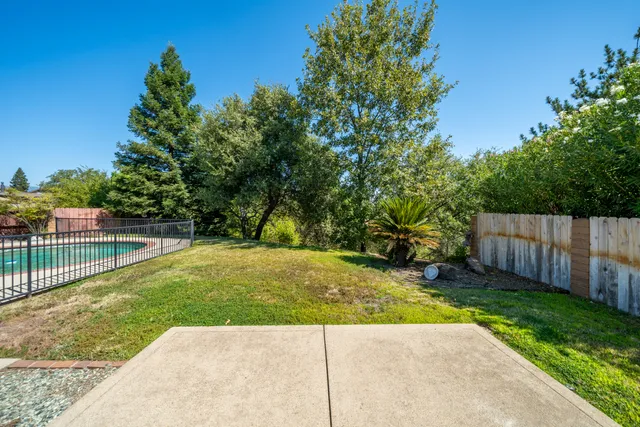a backyard with tall trees