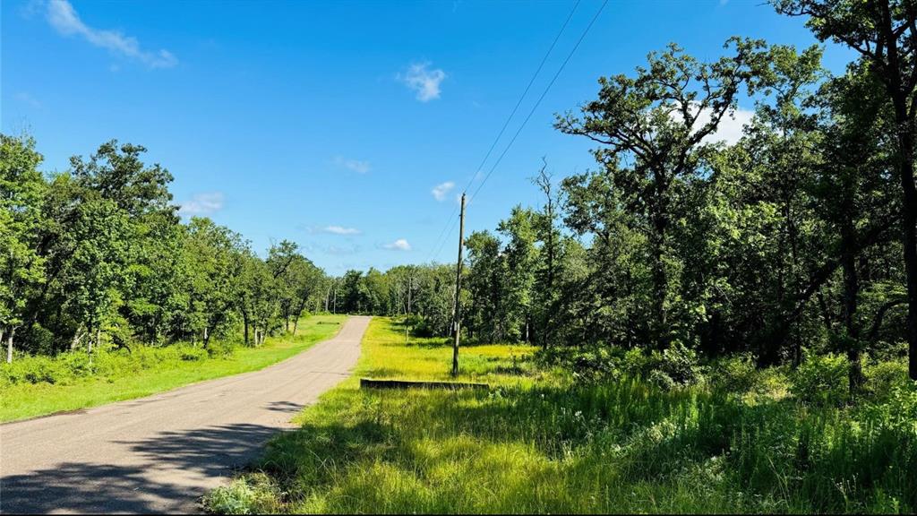10 County Road 2925 Buffalo, TX 75831 - Photo 2 of 5