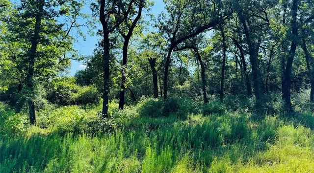 $127,000 | 10 County Road 2925, Buffalo, TX 75831