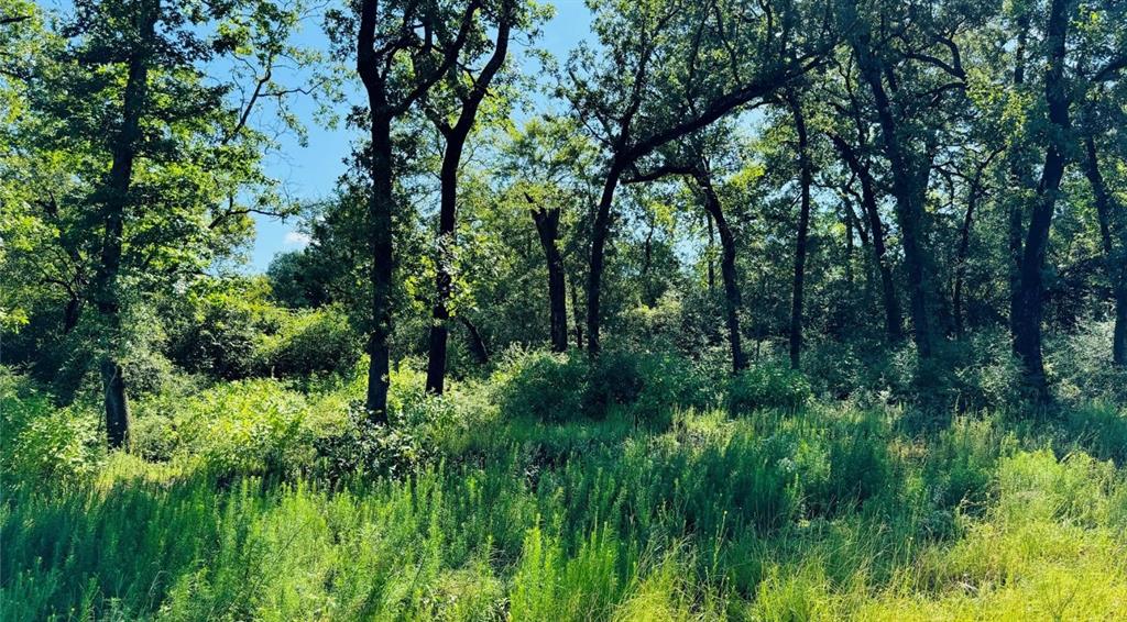 10 County Road 2925 Buffalo, TX 75831 - Photo 3 of 5