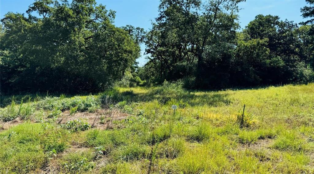 10 County Road 2925 Buffalo, TX 75831 - Photo 5 of 5