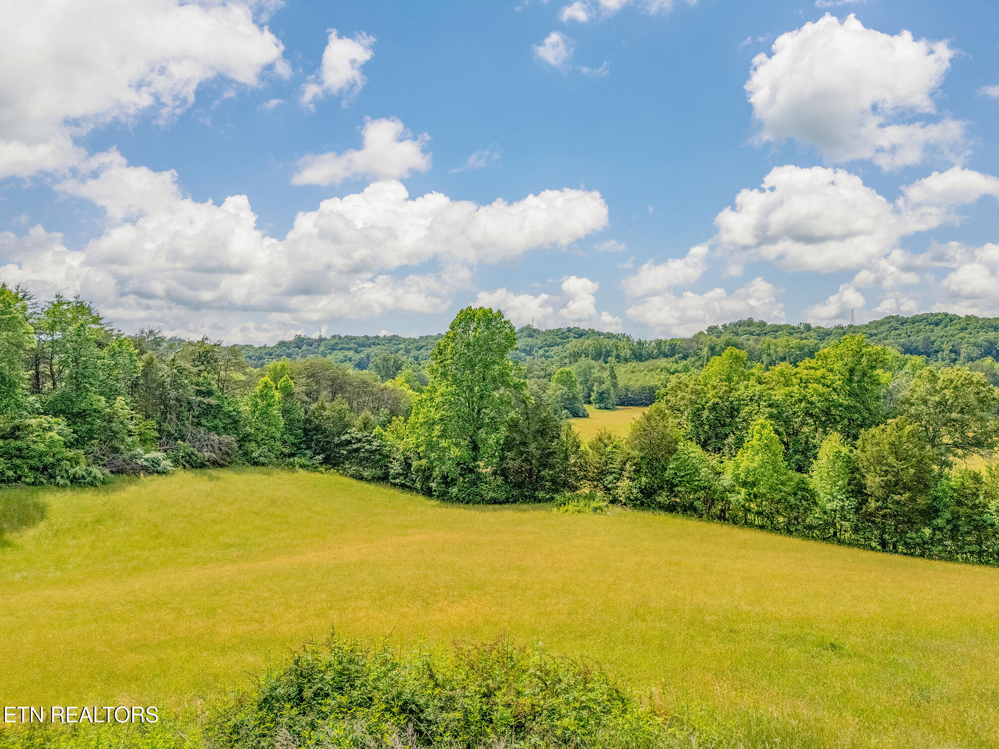 151 Gray Knob Road Kingston, TN 37763 - Photo 58 of 60 DJI_20260516163556_0416_D-HDR-LOT-LINES