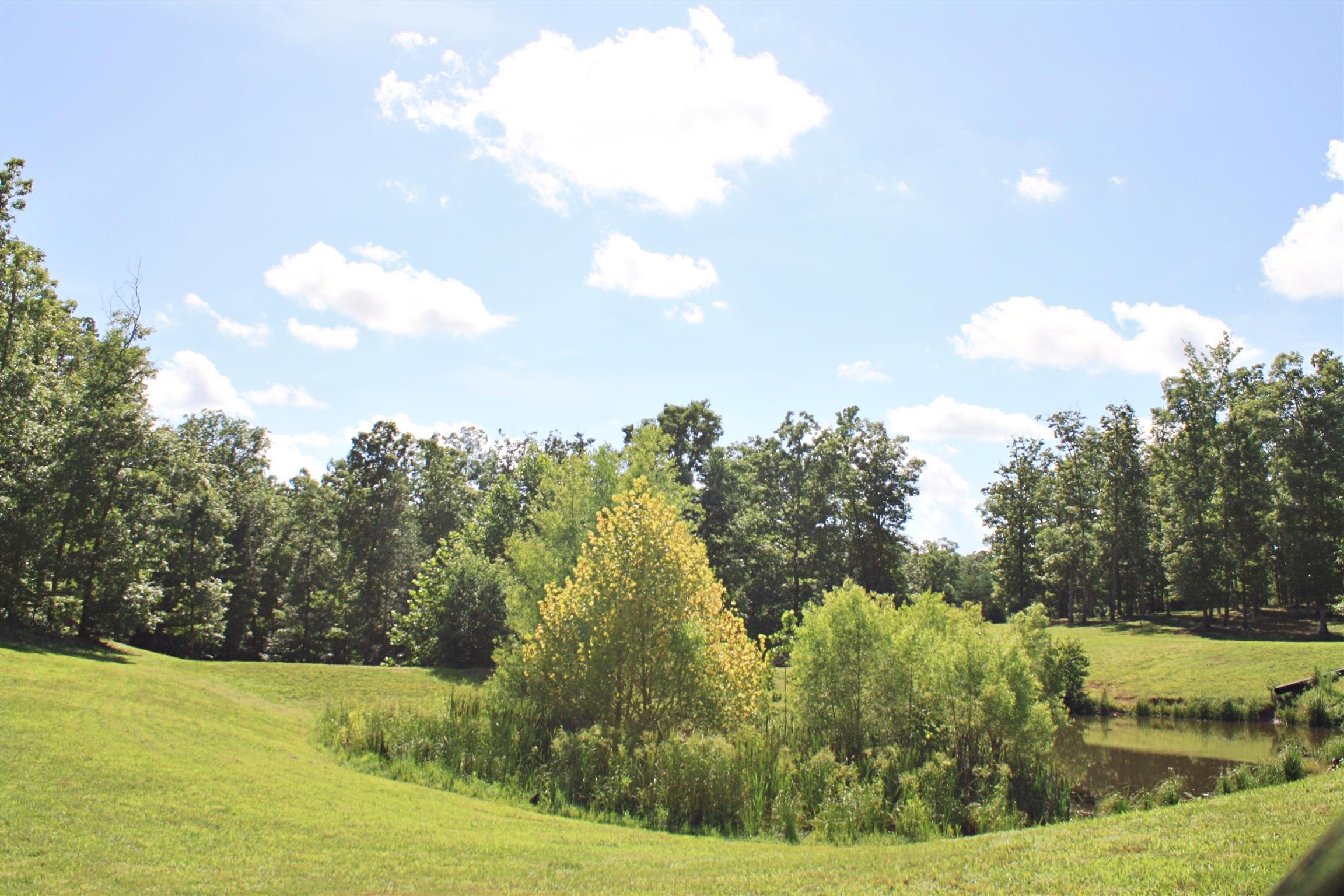 2486 Armstrong Road Linden, TN 37096 - Photo 29 of 30 Gallery Image 29