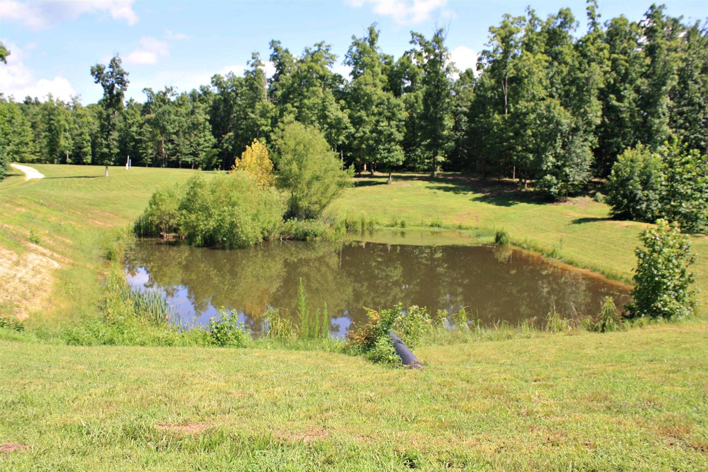2486 Armstrong Road Linden, TN 37096 - Photo 5 of 30 Pond Right in front of the house