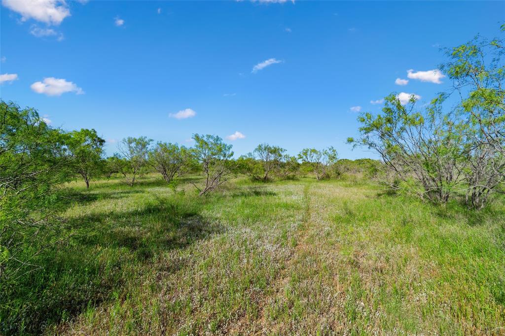 Tbd Tbd Adell Weatherford, TX 76088 - Photo 34 of 39