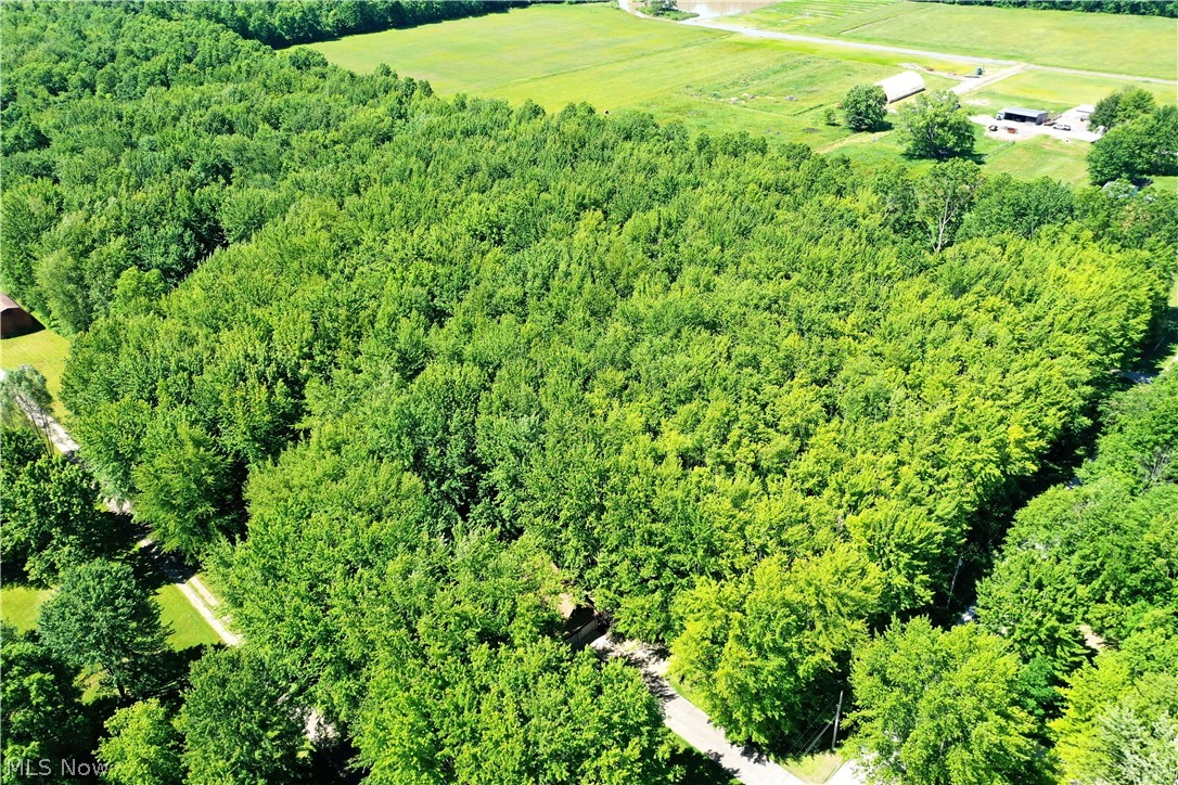 Airport Road Northwest Warren, OH 44481 - Photo 6 of 19