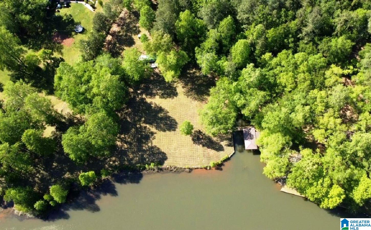 244 County Road 2011 Delta, AL 36258 - Photo 2 of 29