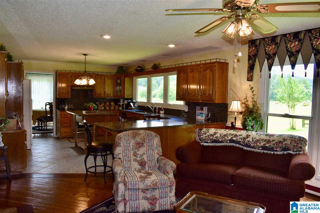 3775 Tidwell Hollow Road Oneonta, AL 35121 - Photo 18 of 49