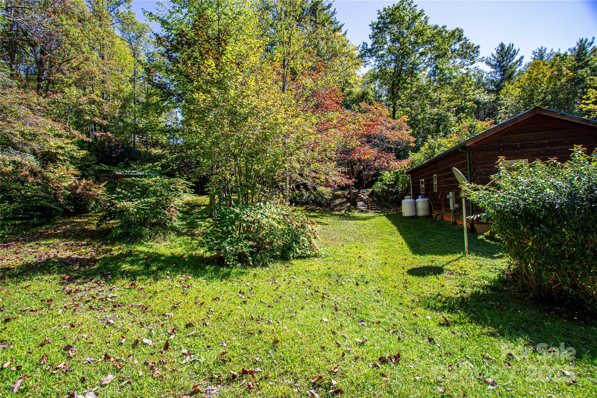 202 Duke Franklin Road Spruce Pine, NC 28777 - Photo 21 of 34 a view of yard with green space