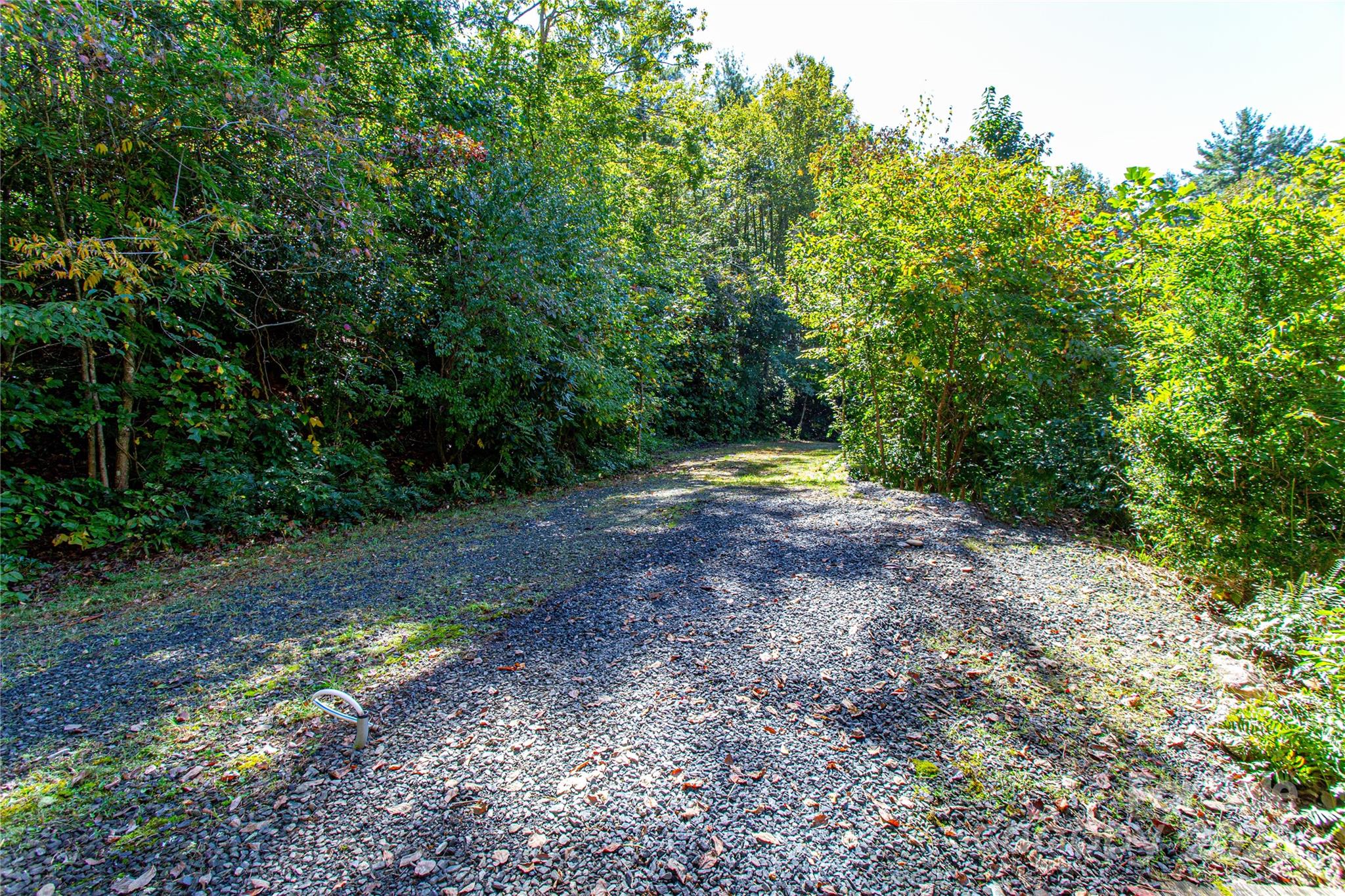 202 Duke Franklin Road Spruce Pine, NC 28777 - Photo 23 of 34 a view of outdoor space with trees all around
