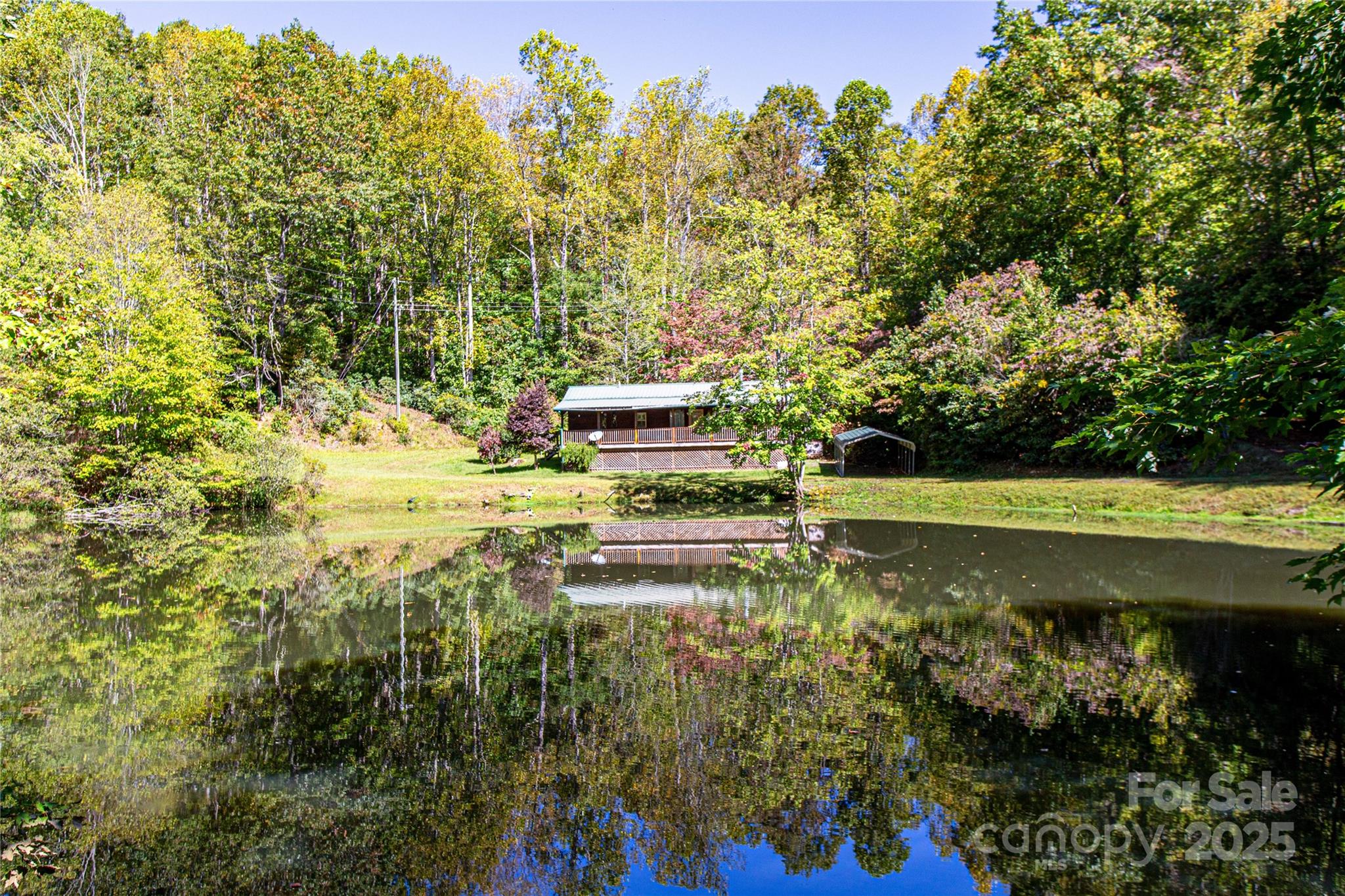 202 Duke Franklin Road Spruce Pine, NC 28777 - Photo 26 of 34 a view of a garden with an outdoor space