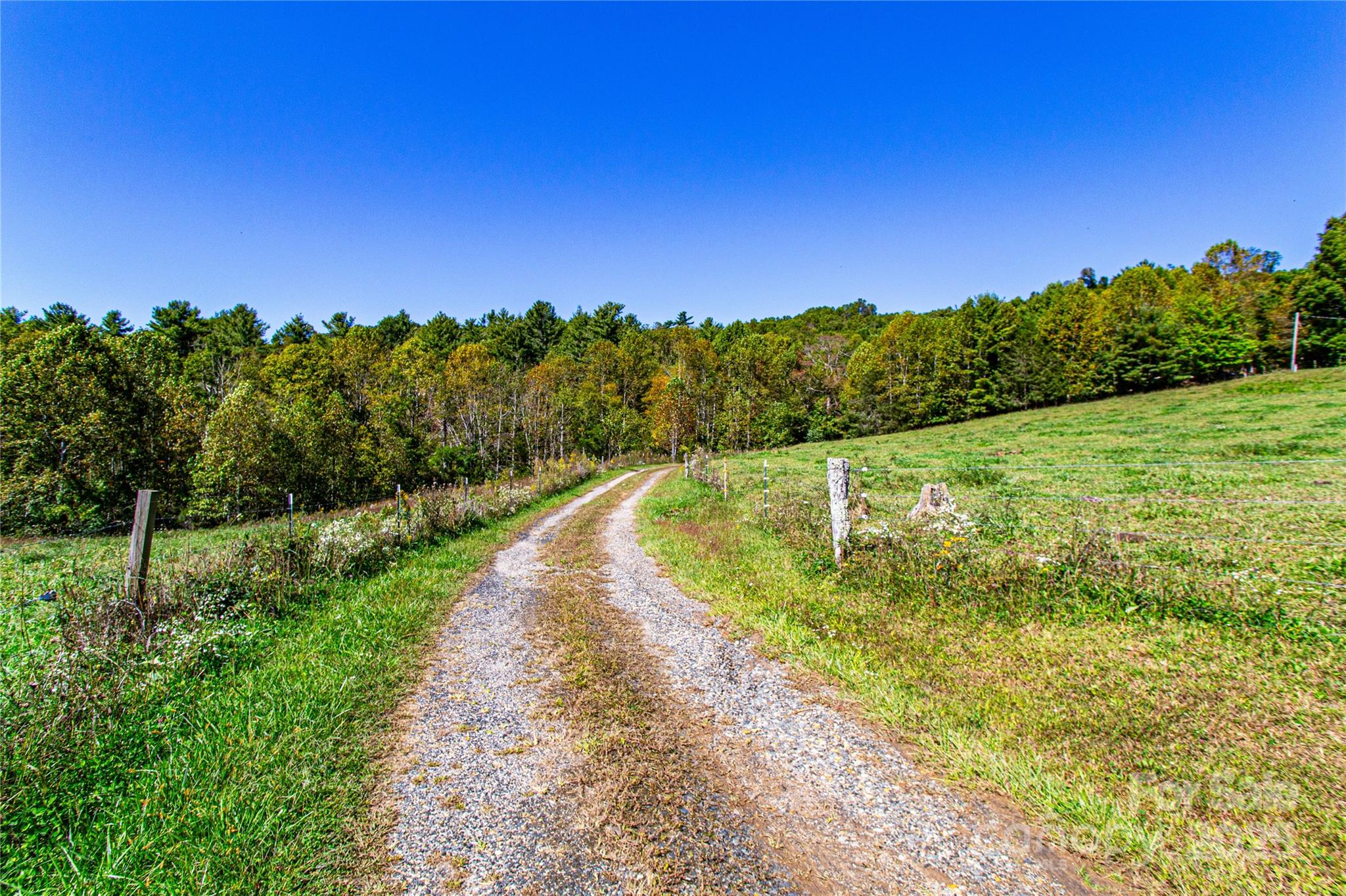 202 Duke Franklin Road Spruce Pine, NC 28777 - Photo 27 of 34 a view of a yard with swimming pool