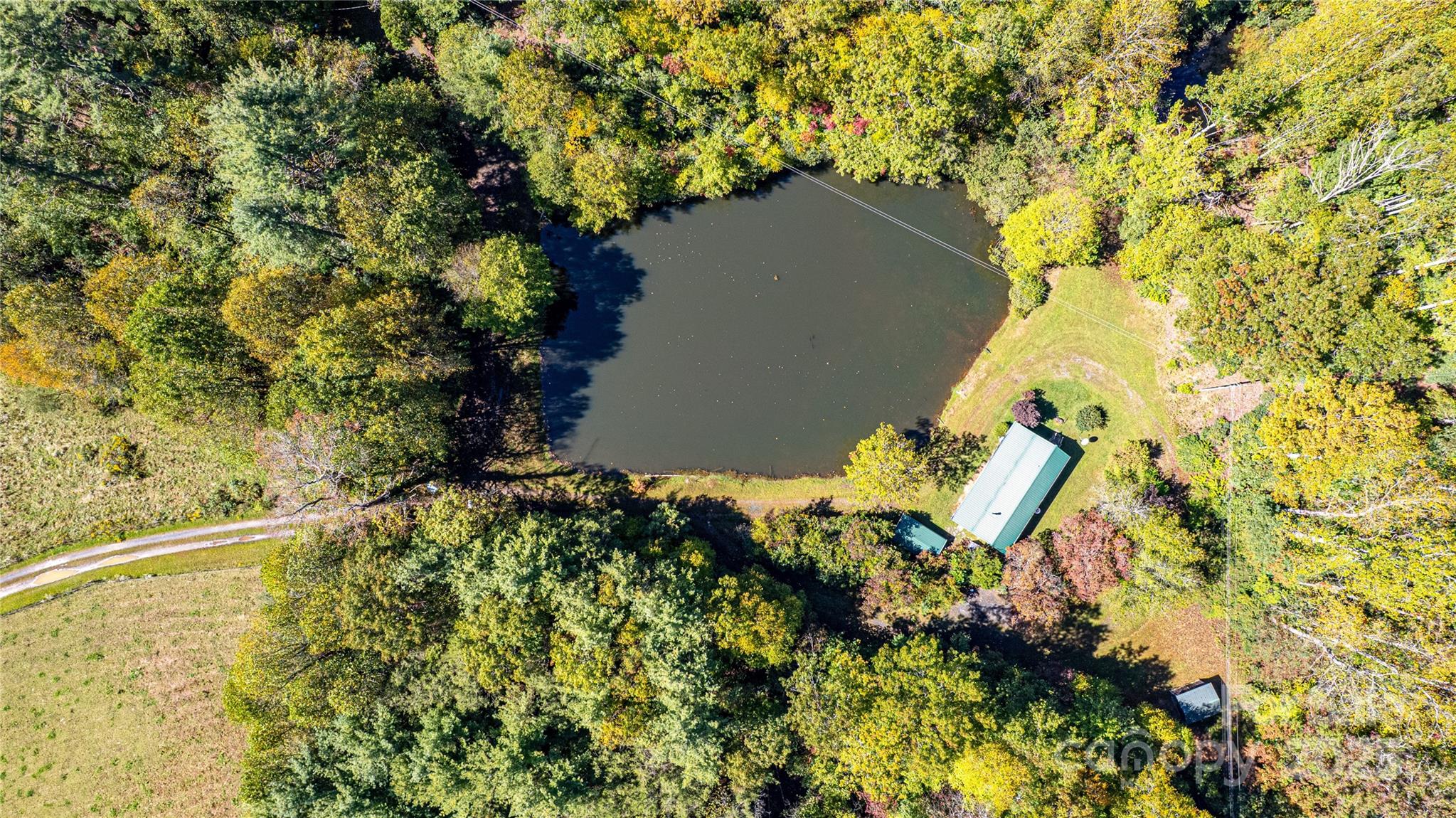 202 Duke Franklin Road Spruce Pine, NC 28777 - Photo 28 of 34 view of a tree with a yard