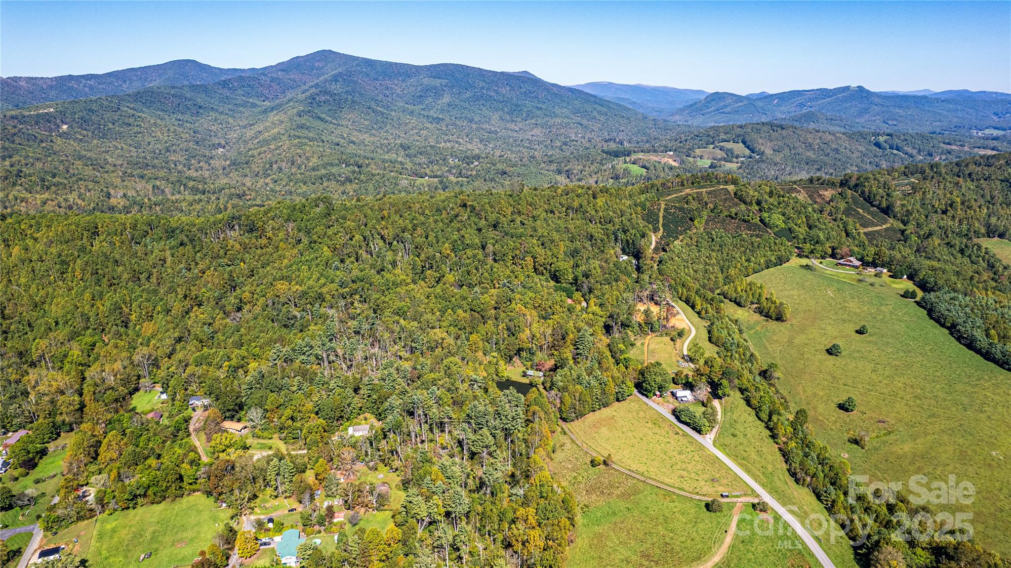 202 Duke Franklin Road Spruce Pine, NC 28777 - Photo 30 of 34 a view of a lush green hillside and a houses