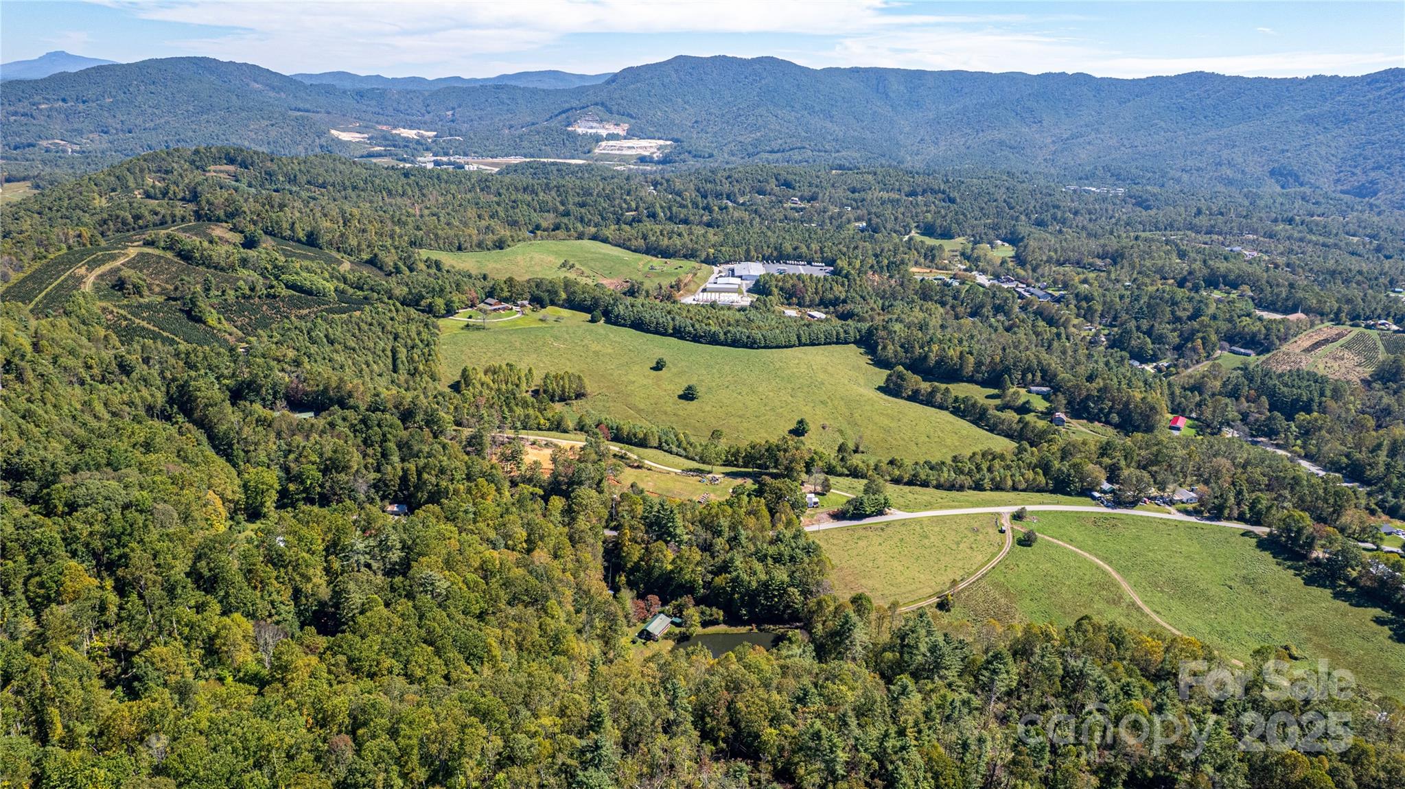 202 Duke Franklin Road Spruce Pine, NC 28777 - Photo 32 of 34 a view of a house with a mountain and a forest