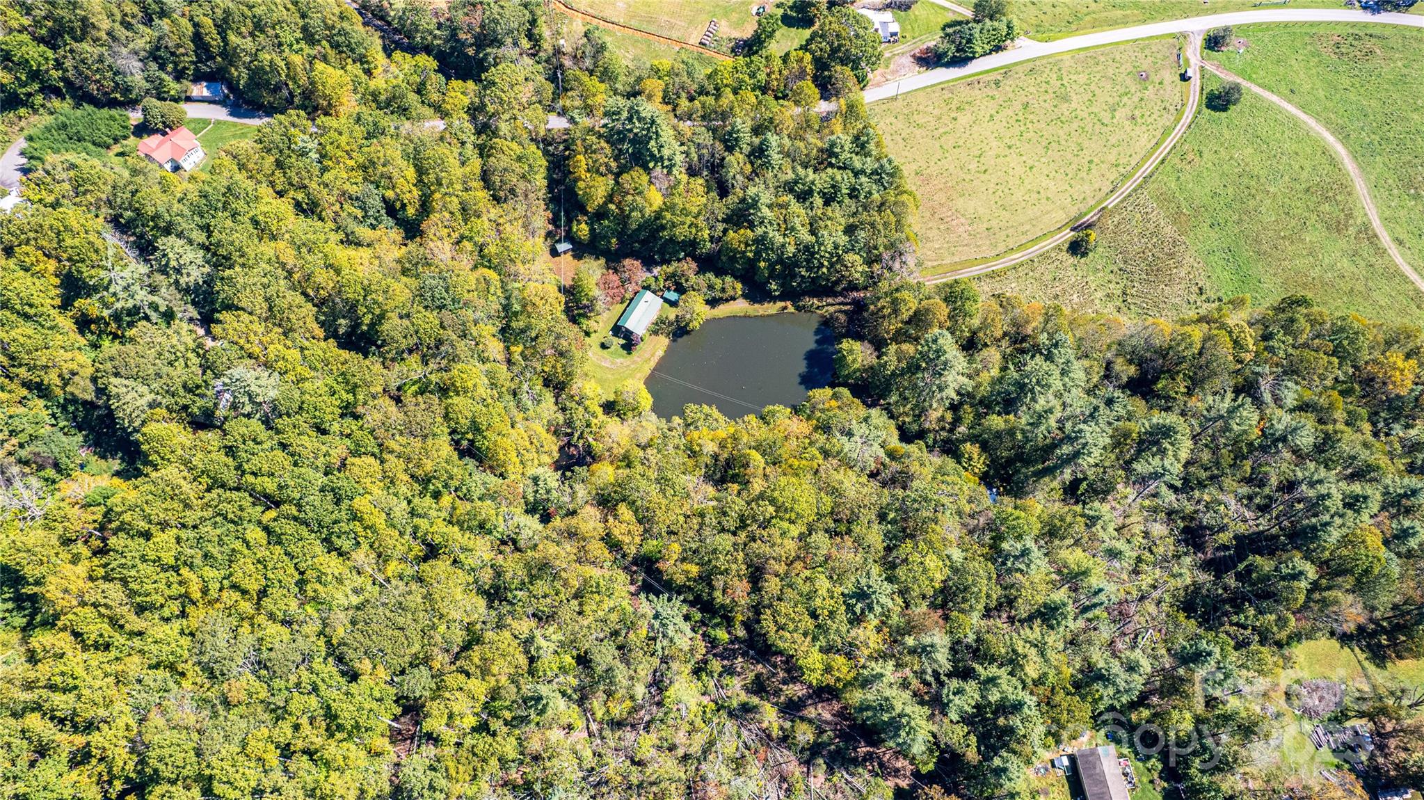 202 Duke Franklin Road Spruce Pine, NC 28777 - Photo 33 of 34 a aerial view of a house with a yard and garden
