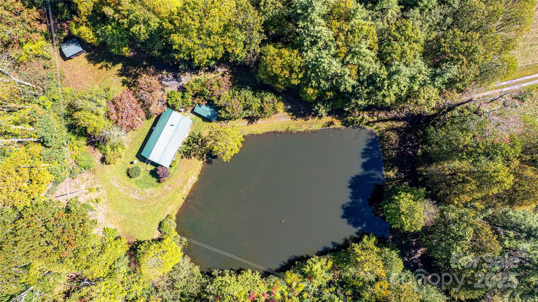 202 Duke Franklin Road Spruce Pine, NC 28777 - Photo 34 of 34 a view of a garden