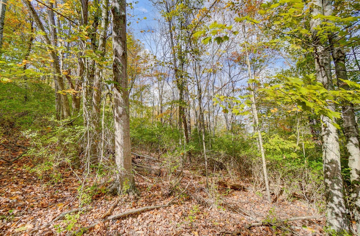2795 8 Mile Road Cincinnati, OH 45244 - Photo 54 of 62 Gallery Image 54